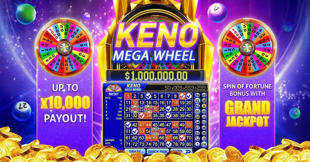 win1 4play bet cassino Android